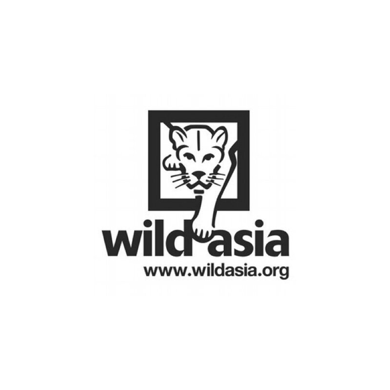 Network-Wild+Asia