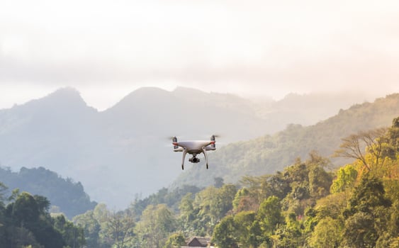 drones-are-saving-our-forests-1