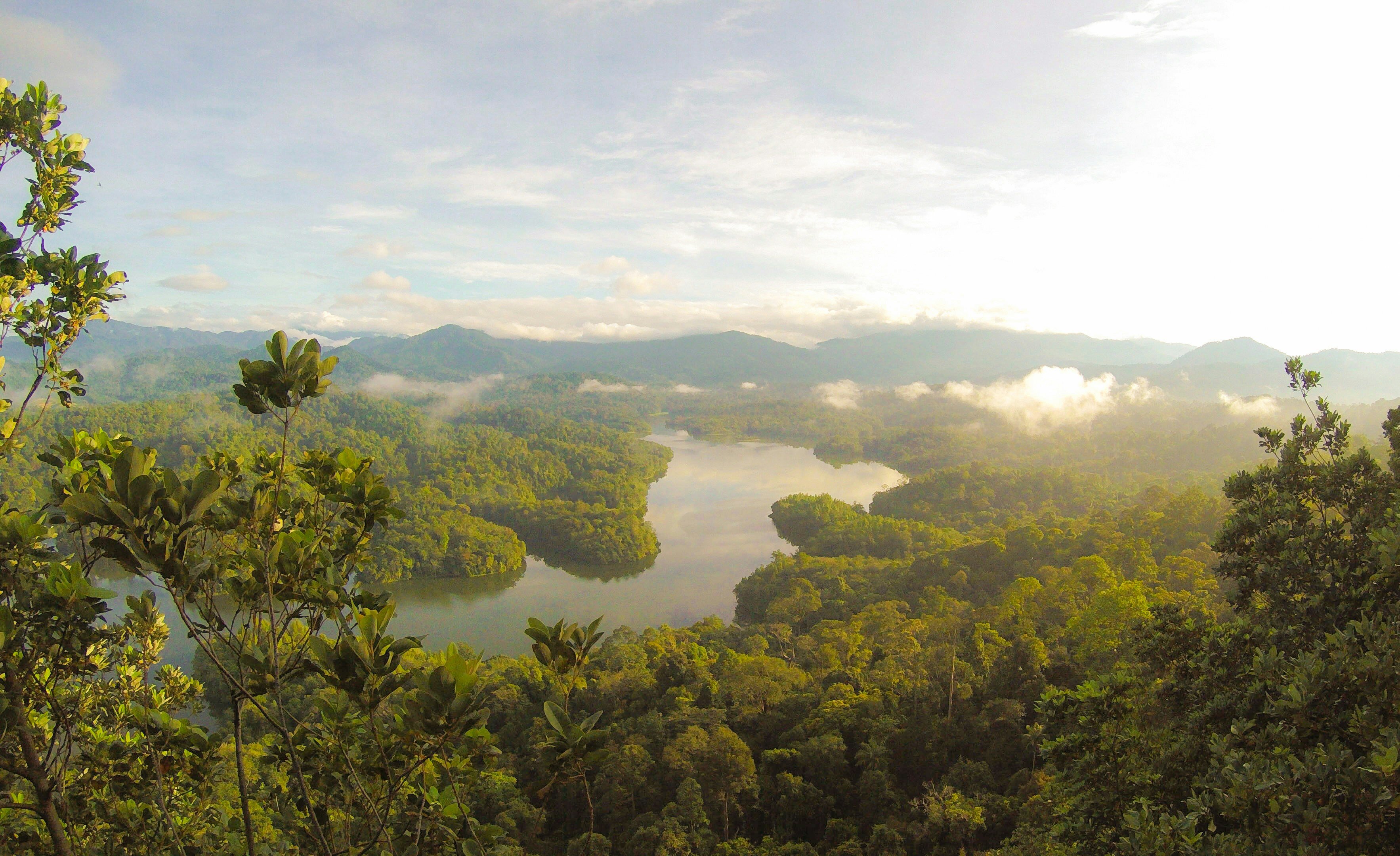 Balok, Malayusia by Eutah Mizushima on Unsplash